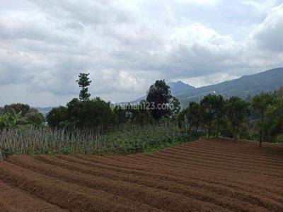 Dijual Kavling Tanah Luas Matang Siap Bangun di Jayagiri Lembang