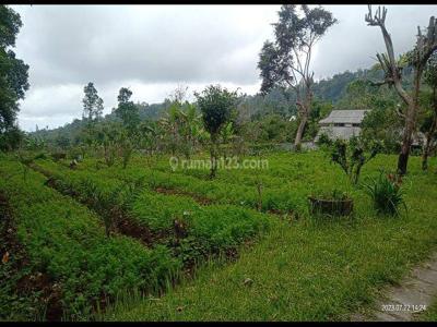 Dijual tanah 2,4ha @baturiti, Tabanan, Bali