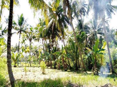 Tanah Murah Cocok Untuk Investasi Dkt Alun Alun Wates Dan Bandara Yia