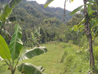 Di Jual Tanah View Sawah dan Pegunungan