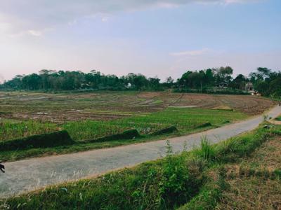 Jual Tanah View Hamparan Sawah Karangpandan Karanganyar