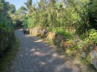 Kode TP2546 Tanah Pekarangan Strategis Di Turi Sleman Yogyakarta