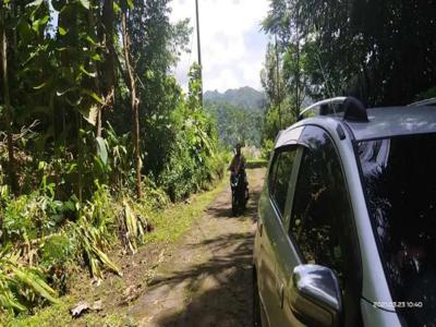 Pilihan Investasi Terbaik Di Kulonprogo Tanah pekarangan di Banjarsari