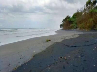 Los Pantai pekutatan 28 are akses Jalan provinsi Denpasar Gilimanuk