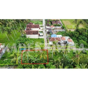 Dijual Tanah Murah Silungan Lodtunduh Ubud Lingkungan Villa - Gianyar