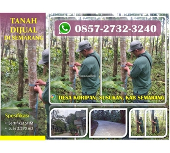 Jual Tanah Perkebunan Luas 2.500 m2 Murah di Kecamatan Susukan - Semarang Kota Jawa Tengah