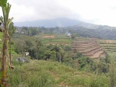 Tanah Murah View Cantik 22 Hektar Di Batunya Baturiti Tabanan Bali