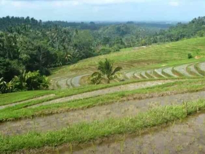 Tanah Murah View Cantik 76 Are Di Gunung Salak Selemadeg Tabanan Bali