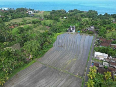 Dijual Tanah Sawah Dekat Pantai Di Balian Beach Tabanan