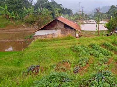 Jual Tanah Kebun Ples Sawah