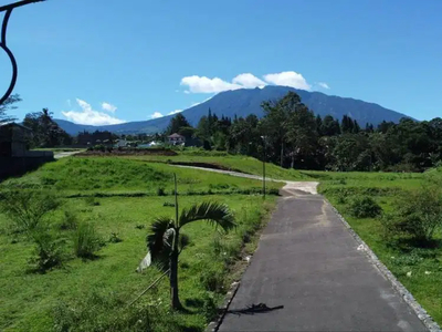 Jual Tanah SHM Cocok Untuk Villa di Puncak Bogor