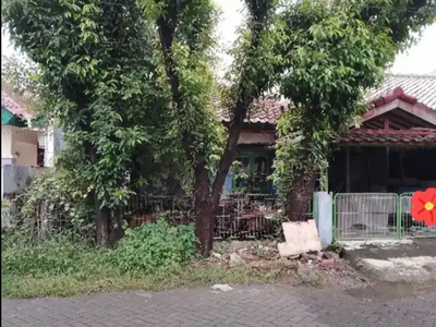 LINGKUNGAN JOSS !! RUMAH 10 X 18 DI GRIYA BINTARA INDAH