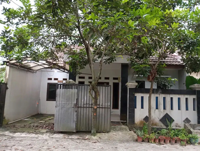 Rumah Dijual Murah Nego