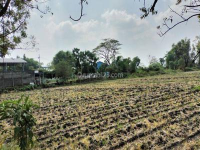 Tanah Industri Super Murah Di Jombang