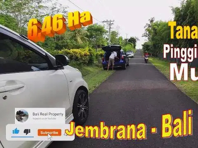 64.600 m2 Tanah Kering Siap Bangun di Jembrana Bali