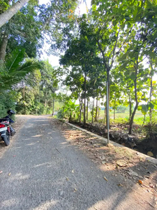 Barat Pasar Cebongan Dijual Tanah Mangku Aspal View Sawah diMargomulyo