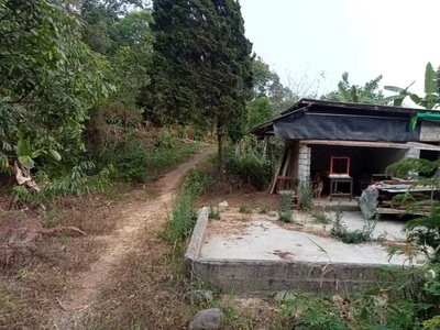 Dijual cepat tanah untuk rumah kebun Wonnosalam Jombang