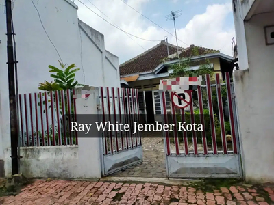 DIJUAL RUMAH DAERAH STRATEGIS Jl. KENANGA JEMBER !!