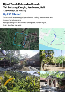 Dijual Tanah 12900m² Yeh Embang Kangin Negara Jembrana Bali