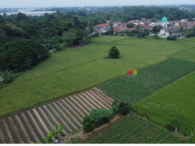 Dijual Tanah 70ha Kragilan Serang