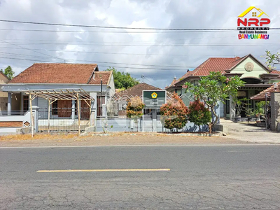 Dijual Tanah Bonus Bangunan Rumah Tepi Jl. Srono - Muncar Banyuwangi