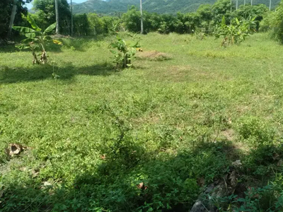 dijual tanah kebun untuk rumah