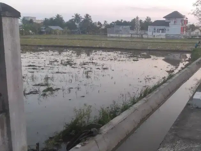 Dijual Tanah Sawah Sangat Cocok Untuk Mendirikan Bangunan / Rumah