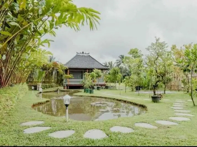 Dijual Villa asri full view lokasi Tabanan Bali