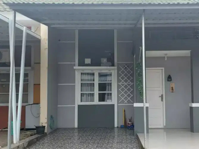 Dikontrakan rumah pertahun