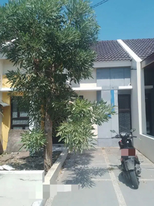 Disewakan Rumah siap huni di Cluster Baltic Segara city Bekasi
