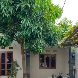 Disewakan rumah siap huni di Tanah Kusir Jakarta Selatan