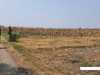 Jual tanah sawah/kebun dekat MTsN 9 Diwek Jombang