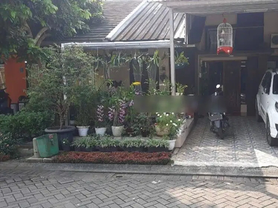 Rumah Terawat di Serpong Garden Tangerang Harga Nego Kpr J15881