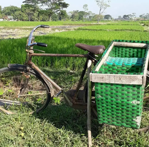 Sawah Kinasih 1