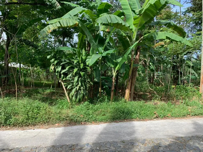 Tanah Dekat Pabrik Akses Kontainer Jaringan Listrik 3 Phase