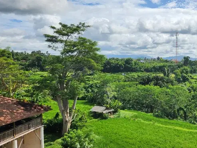 Tanah di Jual di Gianyar Bali
