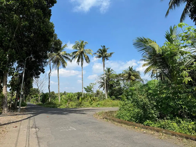 Tanah Dijual Murah Belakang Kampus UII Jogja, SHM P