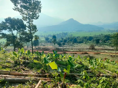 Tanah murah view pegunungan di Bogor