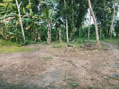 Tanah pekarangan 20 ubin (10mx20m)