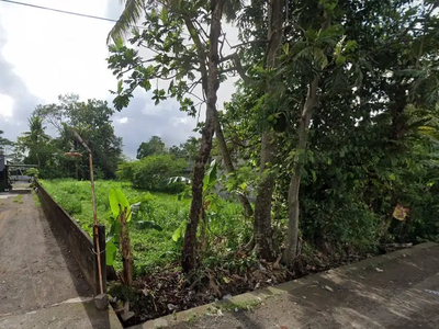 TANAH PEKARANGAN DEKAT STADION MAGUWOHARJO, DEPOK, SLEMAN, JOGJA