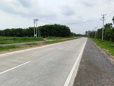 TANAH PINGGIR JALAN DESA DEKAT ITERA SUKARAME KORPRI JUAL MURAH B.U