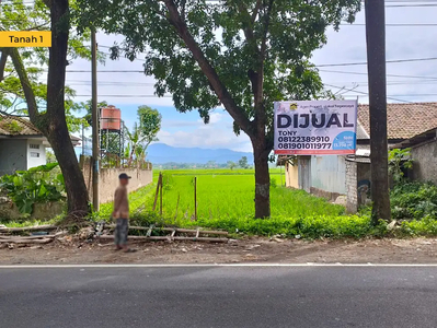 Tanah Sangat Luas di Samping Jalan Provinsi Cocok Untuk Usaha