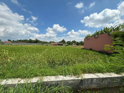 Tanah Sawah Bagus di Selatan Kampus ISI Yogyakarta TS 055