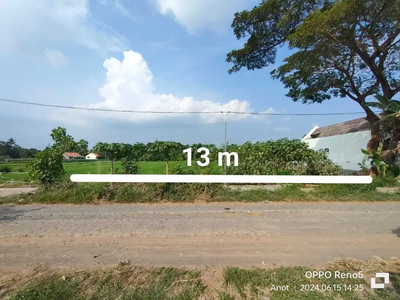 Tanah Sawah Luas Murah di Sewon Bantul Yogyakarta TS 060
