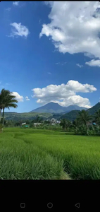 Tanah sawah rata sangat strategis view gunung untuk villa+rumah