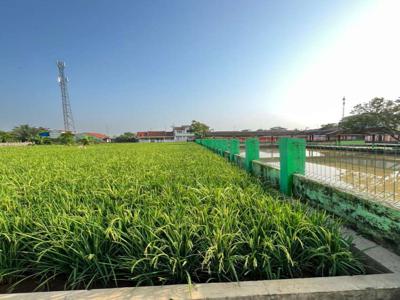 Di JUAL SAWAH LOKASI STARTEGIS DI TENGAH KOTA PURWAKARTA