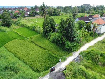 Dijual TANAH deket pantai 300 Meter Dari Pantai Keramas Gianyar Bali