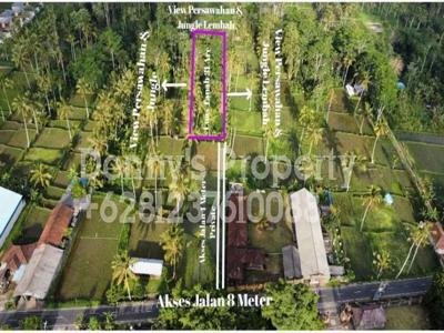 Dijual Tanah Di Tegallalang,View Asri Pedesaan.Cocok Untuk Villa