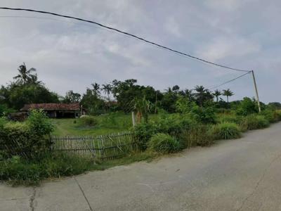 DiJual Tanah kebon Mumer jadi sawah produktif Karawang