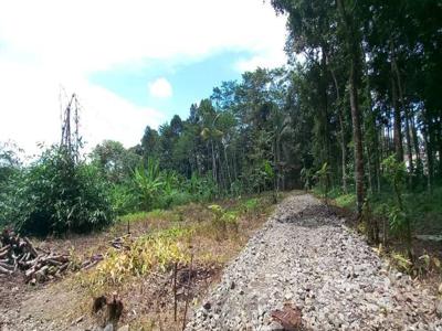 Dijual Tanah SHM di Kecamatan Mijen Dekat Sabhara Polda Jateng